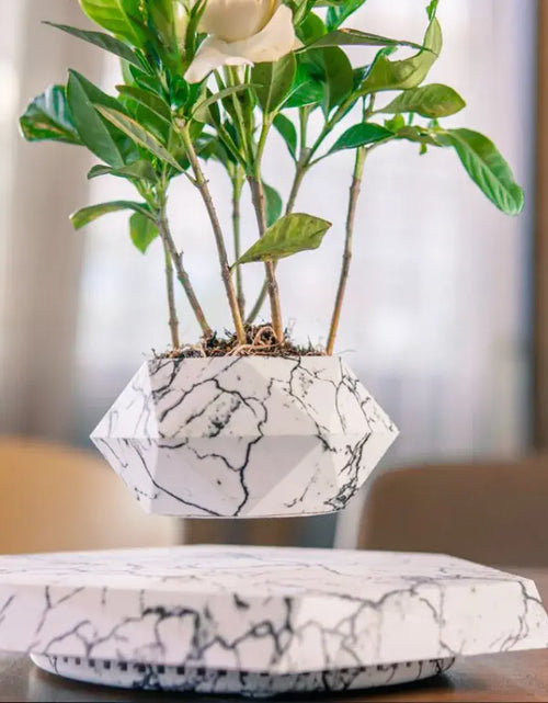 Load image into Gallery viewer, Levitating Air Bonsai Pot Rotation Flower Pot Planters
