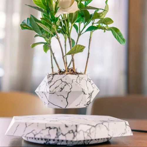 Load image into Gallery viewer, Levitating Air Bonsai Pot Rotation Flower Pot Planters
